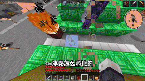 迷你世界怎么养出冰龙[图1]