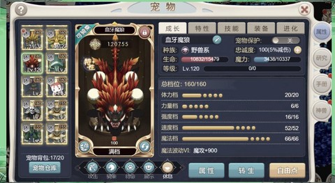 魔力宝贝传教带什么宠物[图2]