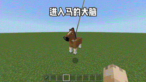 我的世界怎么下马视频[图2]